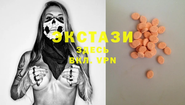 сатива Богородицк