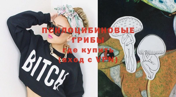 сатива Богородицк