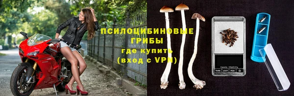 амф Семилуки