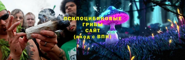 сатива Богородицк