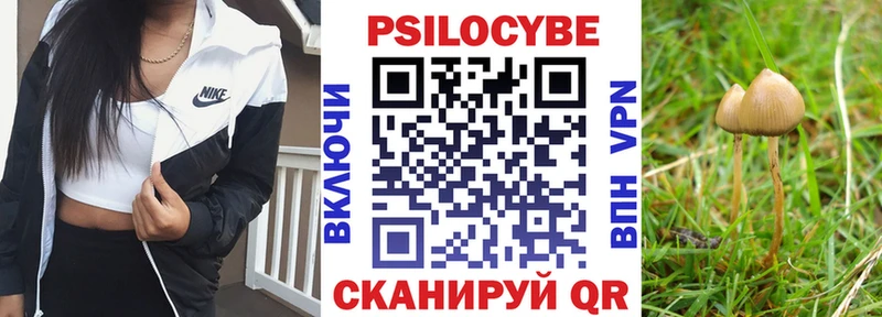 мега зеркало  Моздок  Псилоцибиновые грибы Psilocybe  хочу наркоту 